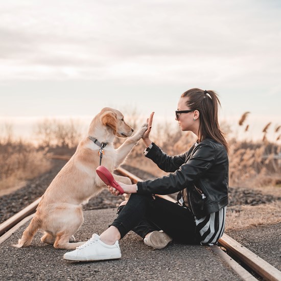 Kvinna som gör high five med en hund