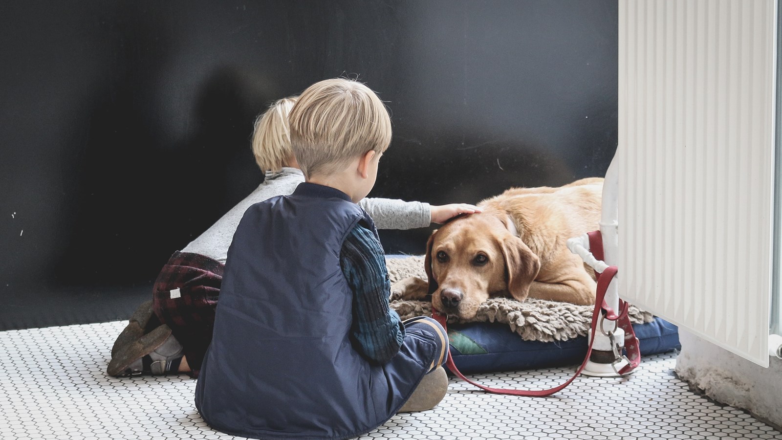 Två barn klappar en hund som ligger ner