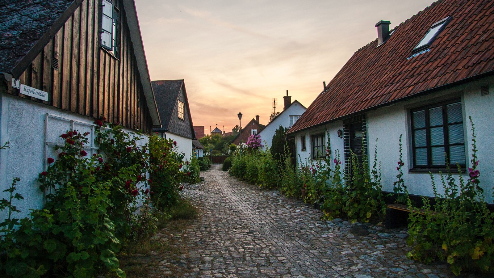 En bild på hus i somrig miljö